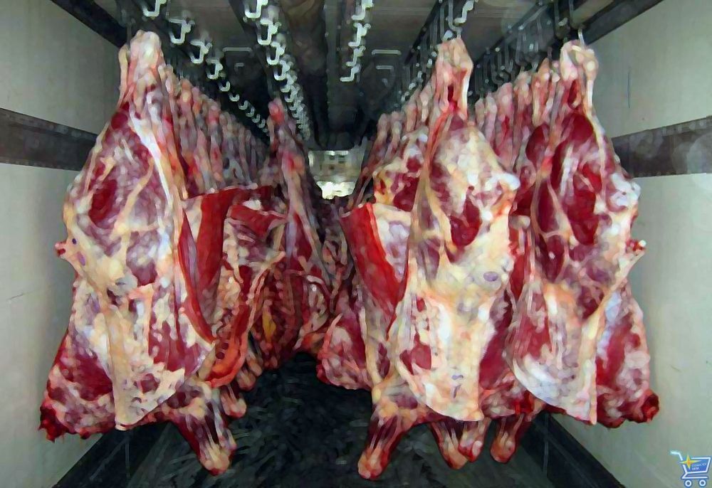 Охлажденное мясо (туши, полутуши) хранятся в холодильных камерах в вертикальном подвешенном состоянии без соприкосновения друг с другом, со стенами и полом холодильной камерой. Идеальное решение – хранение на специальных вешалах для туш.