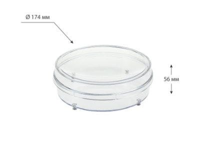 Снимок экрана 2025-08-12 130408