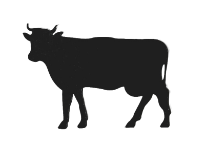 Безымянный1-edited-free (carve.photos)