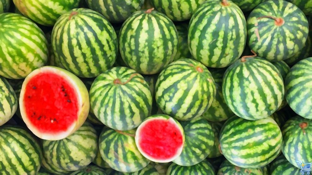 арбузы.jpg нельзя продавать арбузы и дыни с надрезами или частями