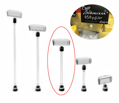 Изображение загружено из УТ 11.3