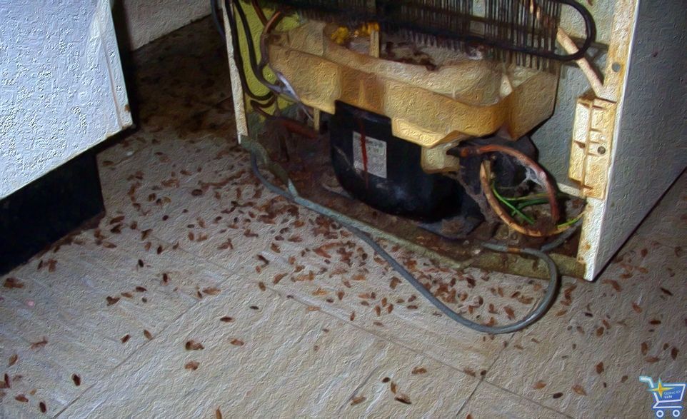 олодильные таракаши.jpg холодильные таракаши.jpg