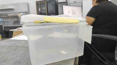 WhatsApp Image 2024-10-10 at 17.33.19