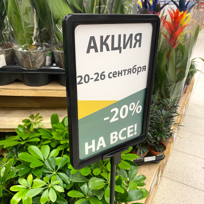 btntedoy1mn4ebbit7i80kxgh2wimspr