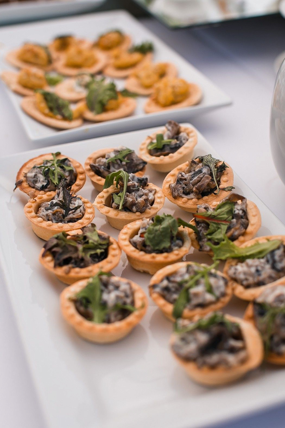 Horetail Party 2021 Horetail Party 2021