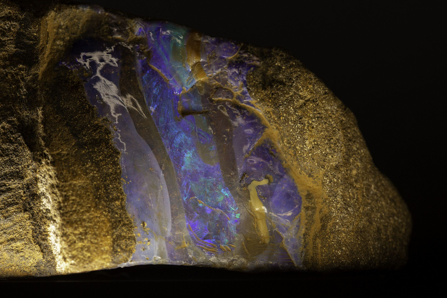 Открытие "Музея минералов имени Василия Анатольевича Гриценко"