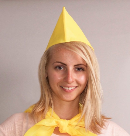 Изображение загружено из УТ 11.3