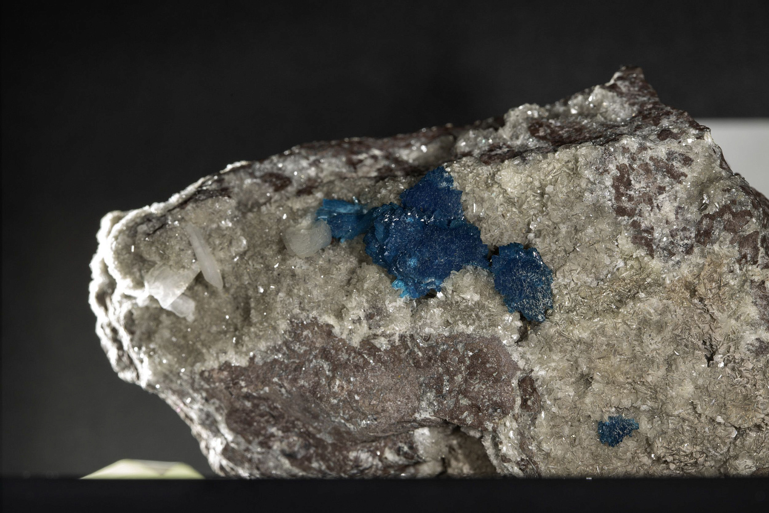 Открытие "Музея минералов имени Василия Анатольевича Гриценко"