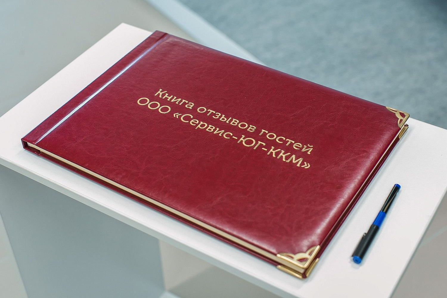 Horetail Party 2021 Horetail Party 2021