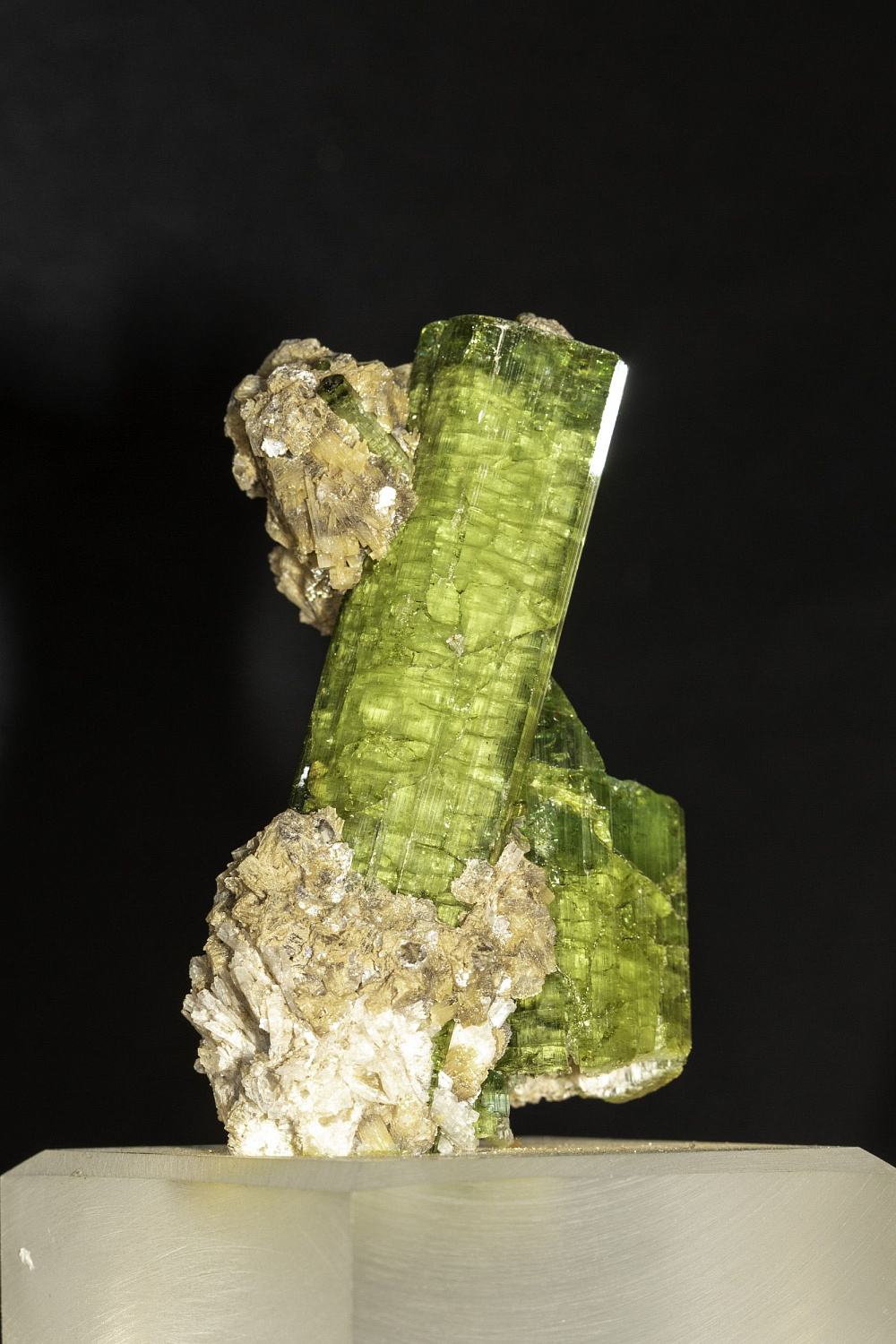 Открытие "Музея минералов имени Василия Анатольевича Гриценко"