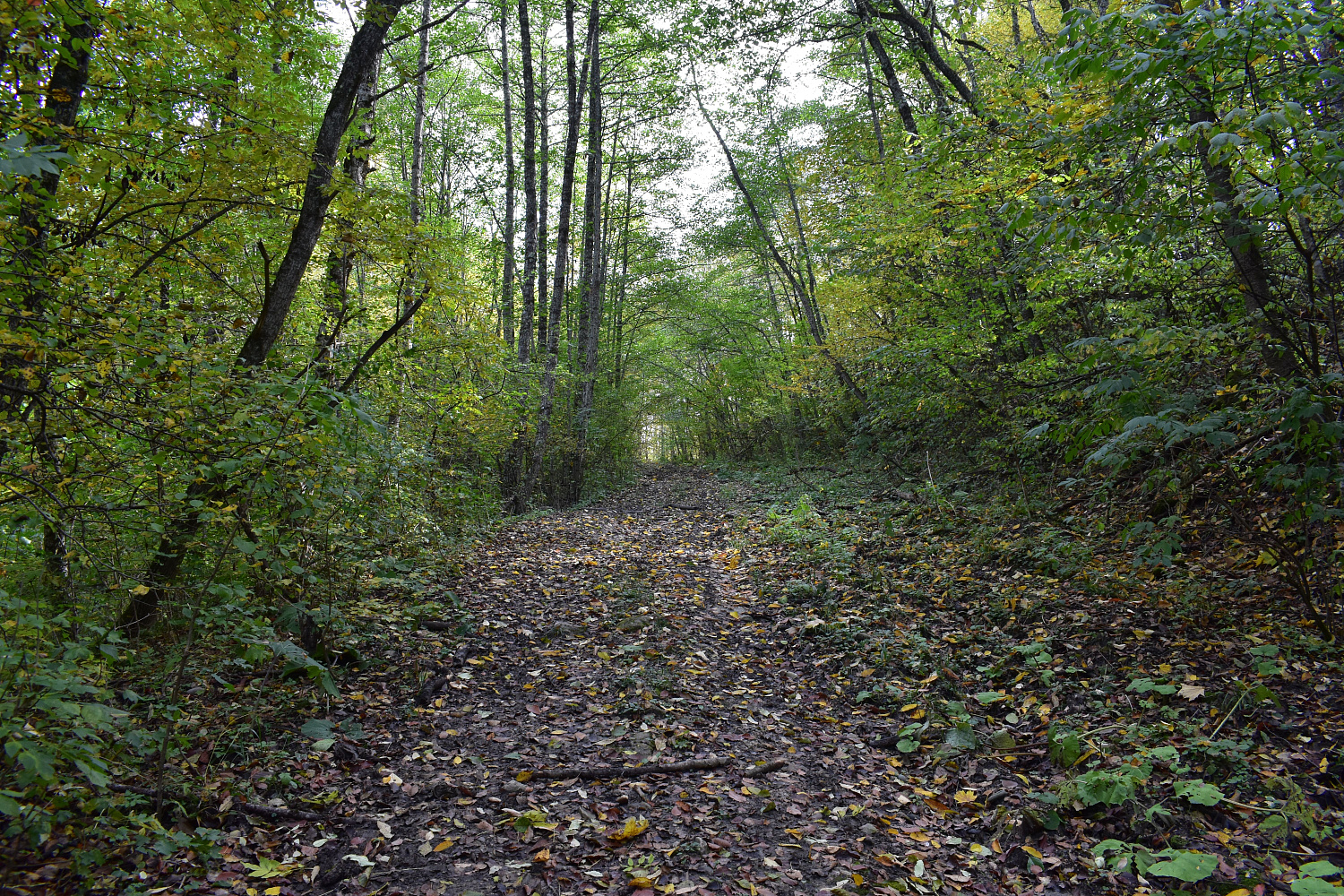 По следам древних цивилизаций: корпоративный поход команды «Сервис-ЮГ-ККМ» По следам древних цивилизаций: корпоративный поход команды «Сервис-ЮГ-ККМ»