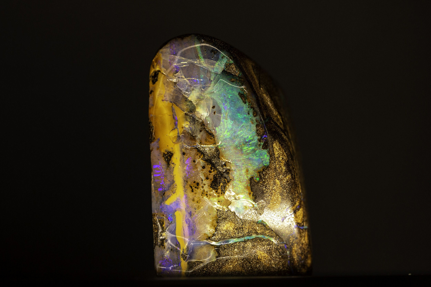 Открытие "Музея минералов имени Василия Анатольевича Гриценко"