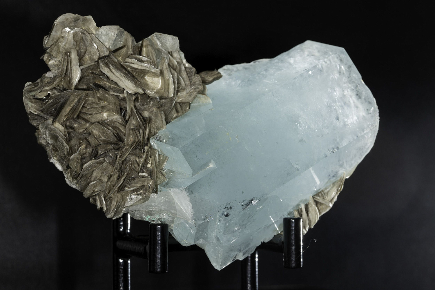 Открытие "Музея минералов имени Василия Анатольевича Гриценко"