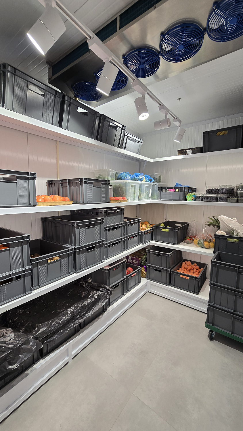 От идеи до открытия за 45 дней: как мы создали премиум-магазин «Морковь»