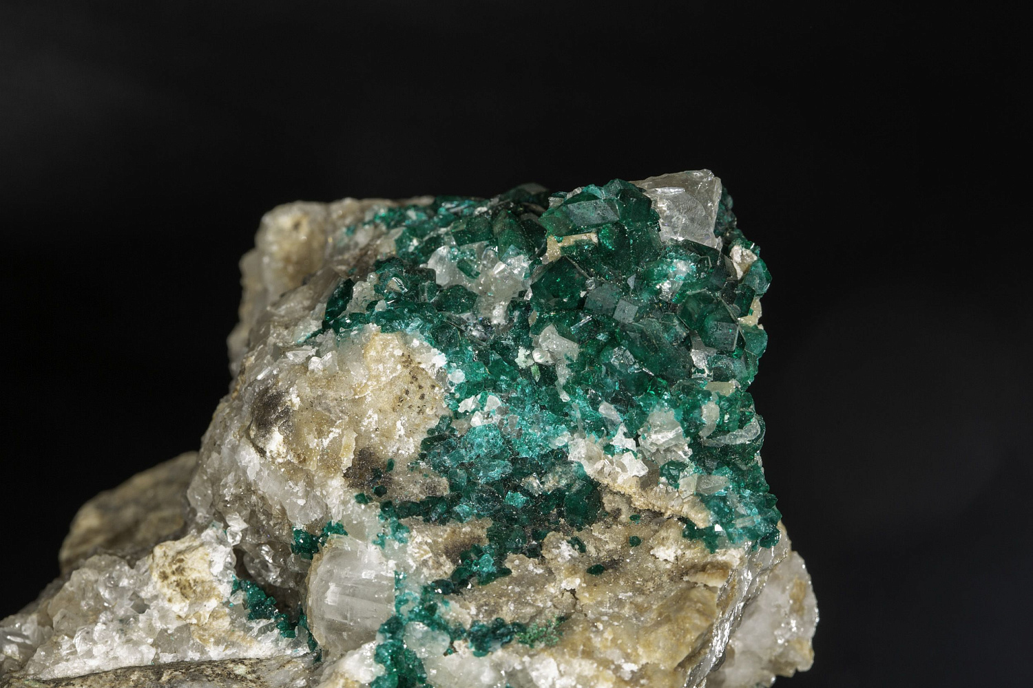 Открытие "Музея минералов имени Василия Анатольевича Гриценко"