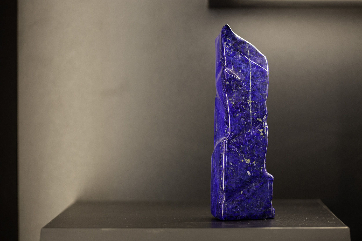 Открытие "Музея минералов имени Василия Анатольевича Гриценко"