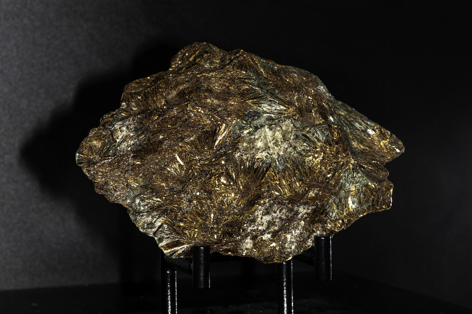 Открытие "Музея минералов имени Василия Анатольевича Гриценко"