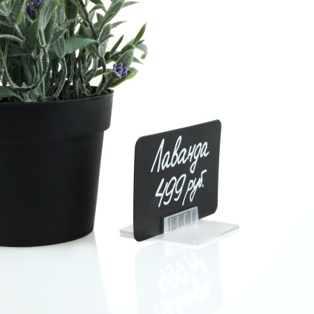 obhn8simo0g7xugko6rmgbxez23mmjdm