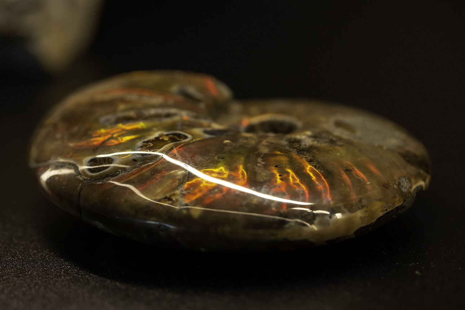 Открытие "Музея минералов имени Василия Анатольевича Гриценко"