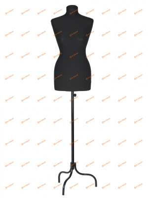 0735e8345d2e6c266de6a8b049a0be1e