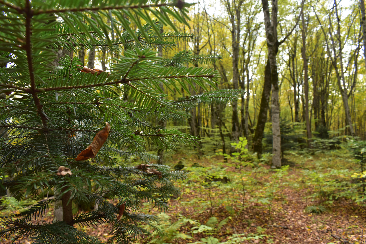По следам древних цивилизаций: корпоративный поход команды «Сервис-ЮГ-ККМ» По следам древних цивилизаций: корпоративный поход команды «Сервис-ЮГ-ККМ»