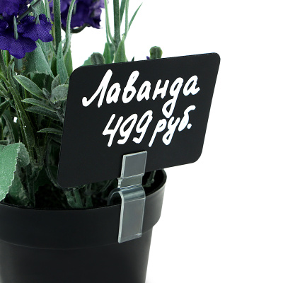 st3429yqlyk0l7w2efm1u6nx6ex740k5