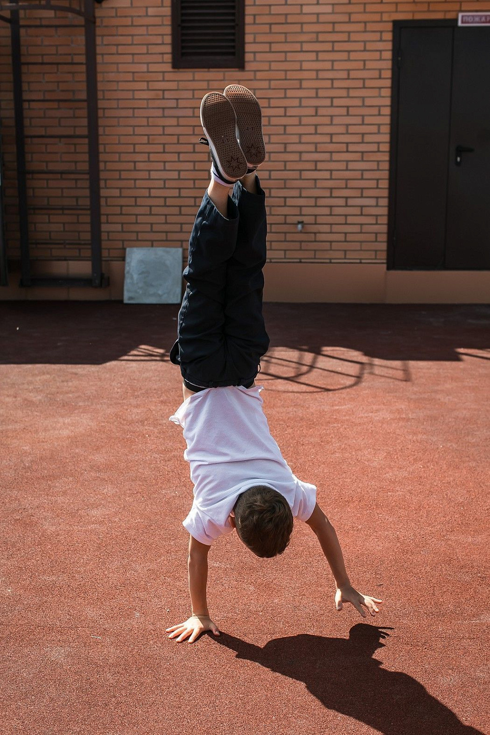 Horetail Party 2021 Horetail Party 2021