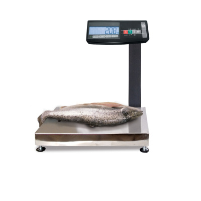 723a3ea0-56a6-11e0-ac86-002219a876ba