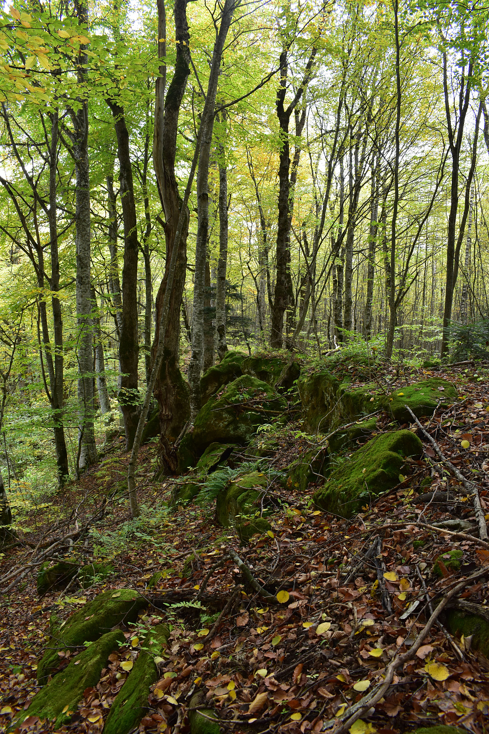 По следам древних цивилизаций: корпоративный поход команды «Сервис-ЮГ-ККМ» По следам древних цивилизаций: корпоративный поход команды «Сервис-ЮГ-ККМ»