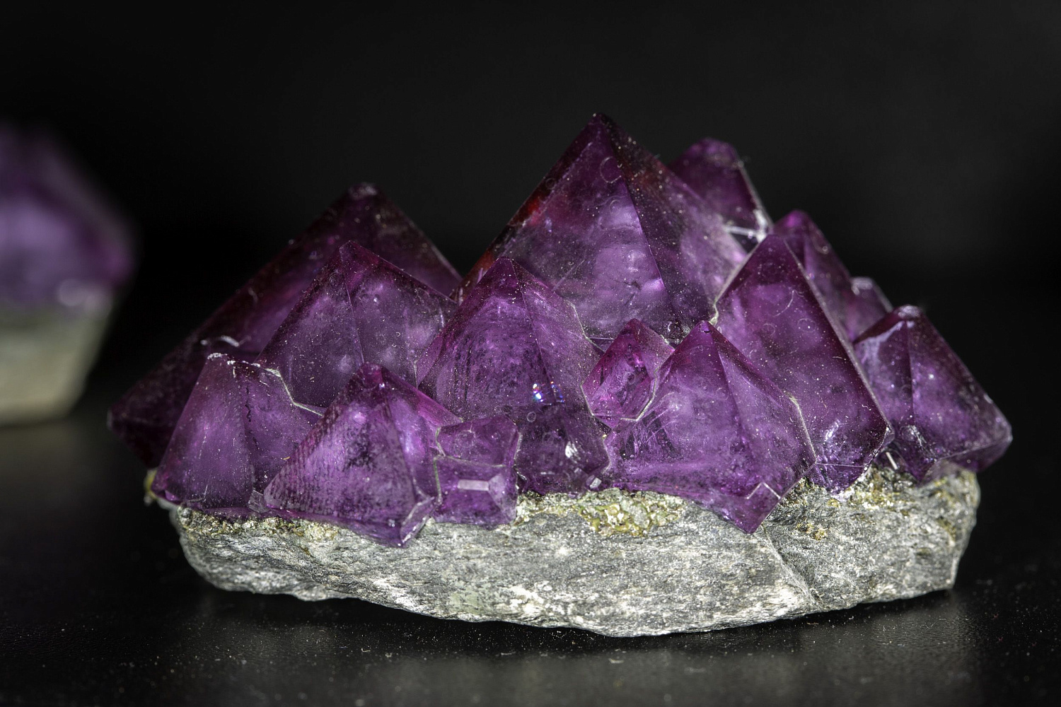 Открытие "Музея минералов имени Василия Анатольевича Гриценко"