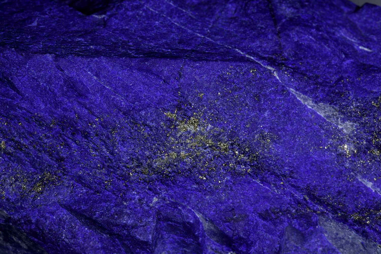 Открытие "Музея минералов имени Василия Анатольевича Гриценко"