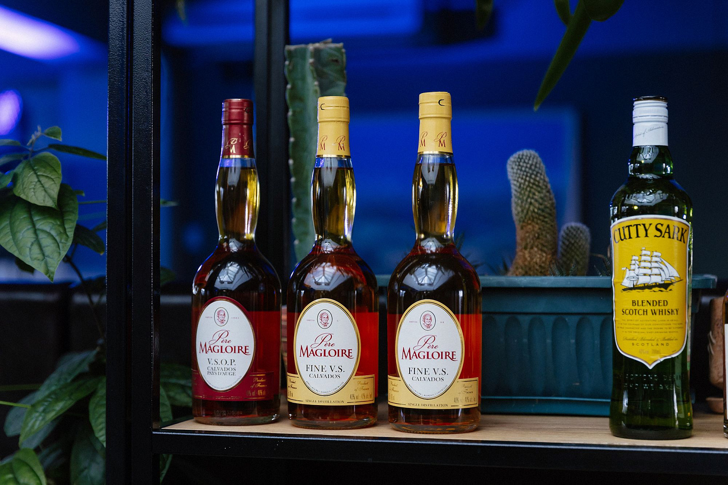 HoRetail PARTY 2023 + фототчёт HoRetail PARTY 2023 + фототчёт