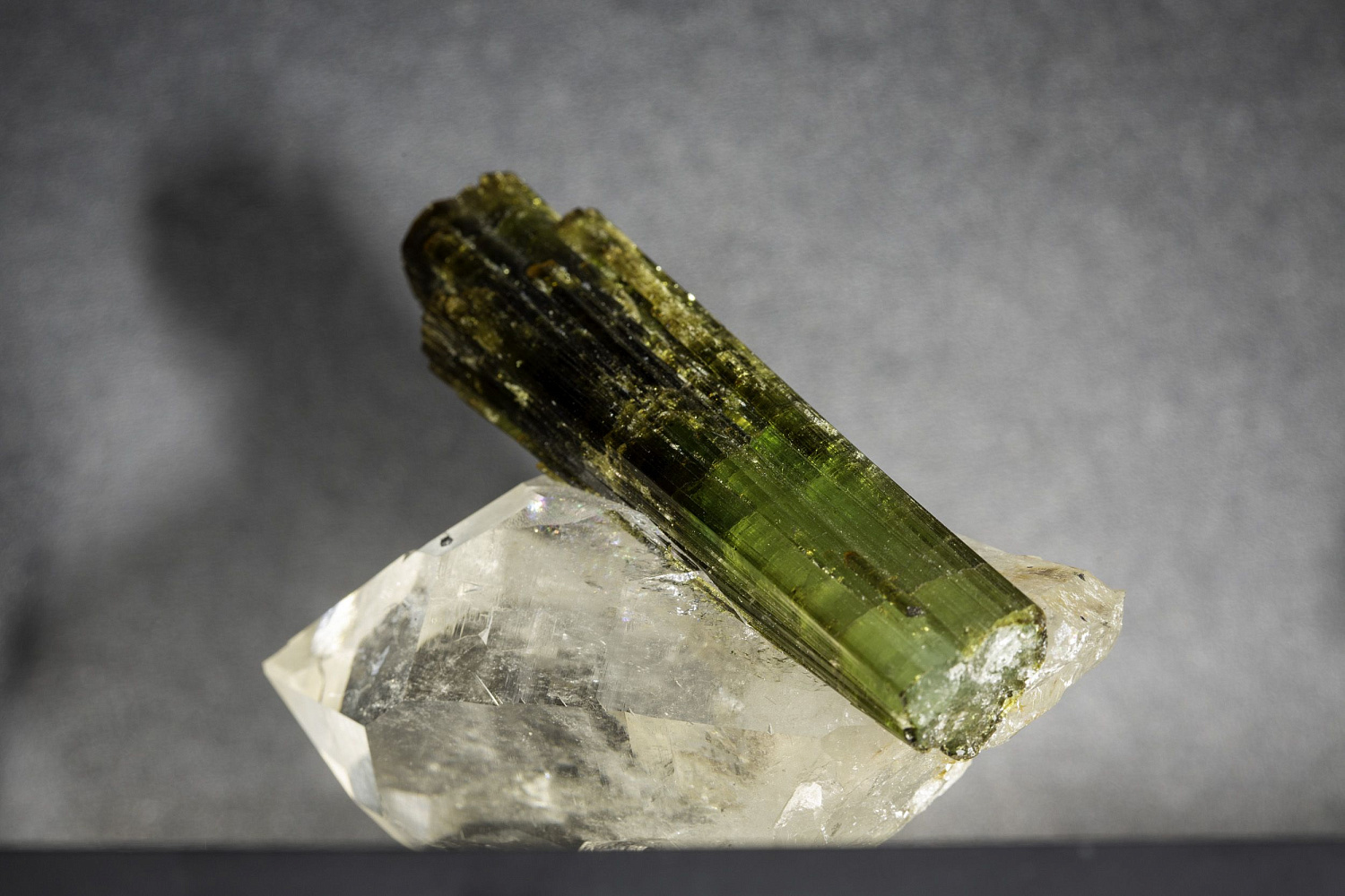 Открытие "Музея минералов имени Василия Анатольевича Гриценко"