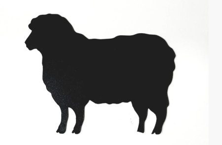 Безымянный4