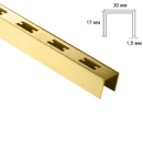 Профиль пристенный с перфорацией MG-2202, 2,4 м gold CANALINA