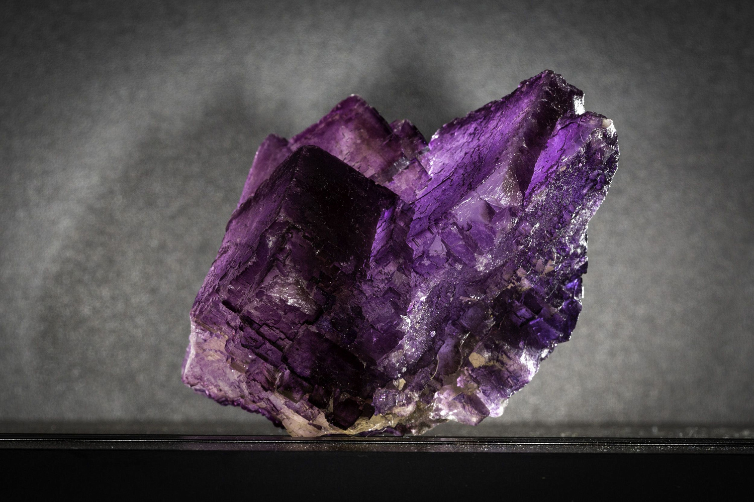 Открытие "Музея минералов имени Василия Анатольевича Гриценко"